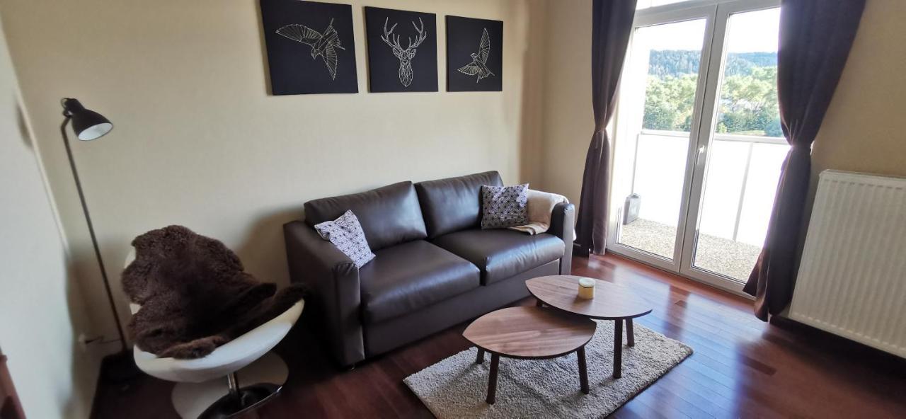 Moser Apartment Carlsbad Karlovy Vary Bagian luar foto