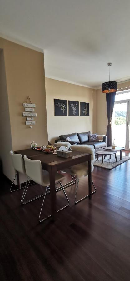 Moser Apartment Carlsbad Karlovy Vary Bagian luar foto