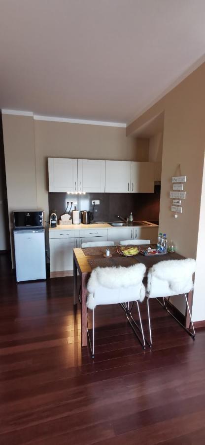 Moser Apartment Carlsbad Karlovy Vary Bagian luar foto